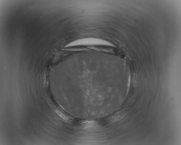 X0000082710428200702161820