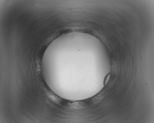 X0000082710430200702161820