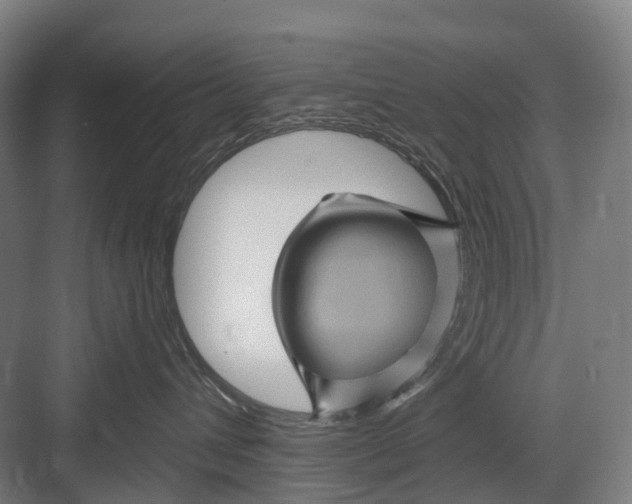 X0000082710432200702161820