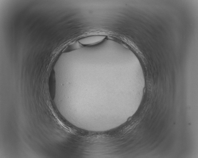 X0000082710433200702161819