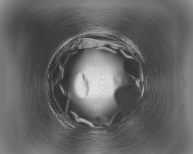 X0000082710436200702161819