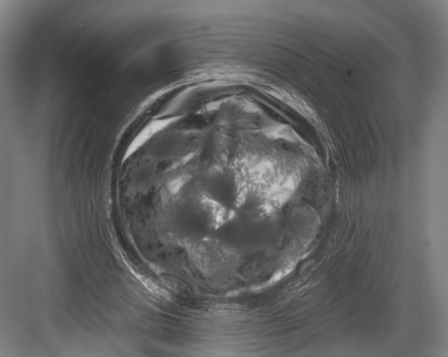 X0000082710438200702161819