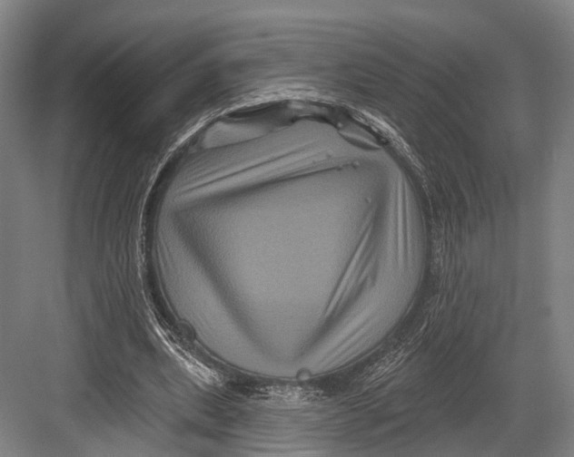 X0000082710439200702161819