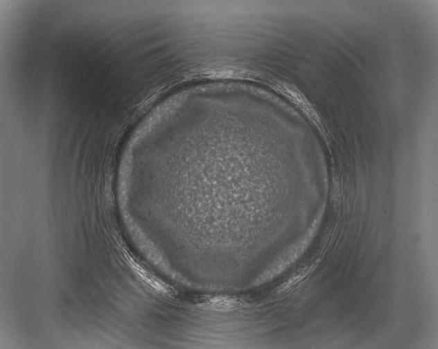 X0000082710441200702161820