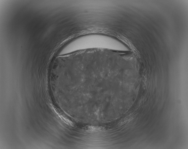 X0000082710442200702161820