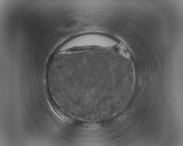 X0000082710443200702161820