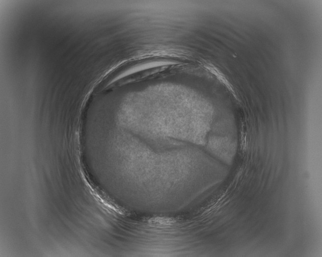 X0000082710444200702161820