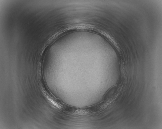 X0000082710445200702161820