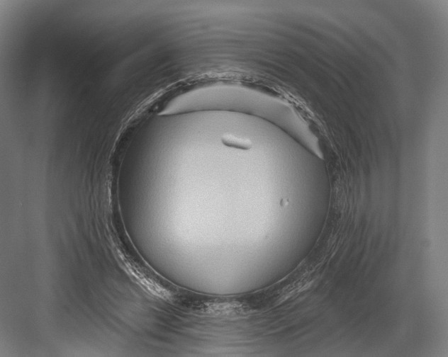 X0000082710446200702161820