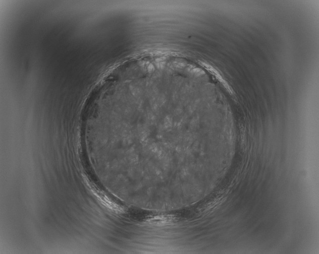 X0000082710447200702161820