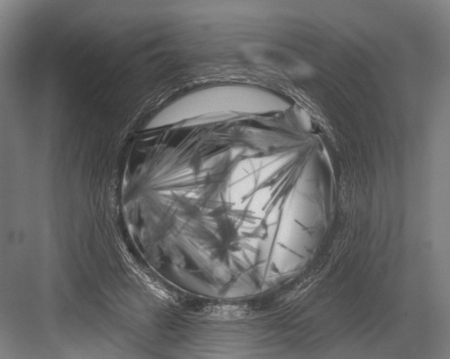 X0000082710449200702161820