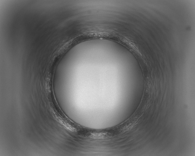 X0000082710450200702161820