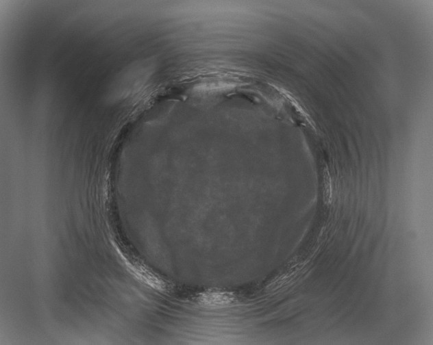 X0000082710451200702161820