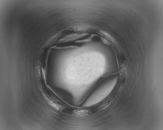 X0000082710452200702161820