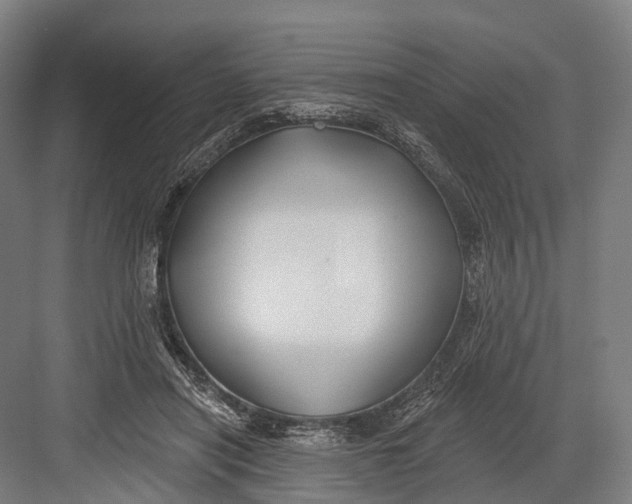 X0000082710454200702161820