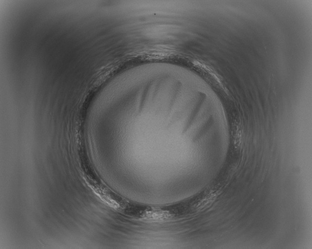 X0000082710455200702161820