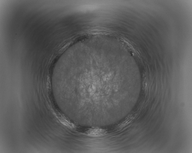 X0000082710459200702161820