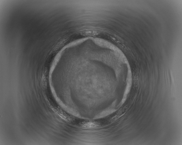 X0000082710460200702161820