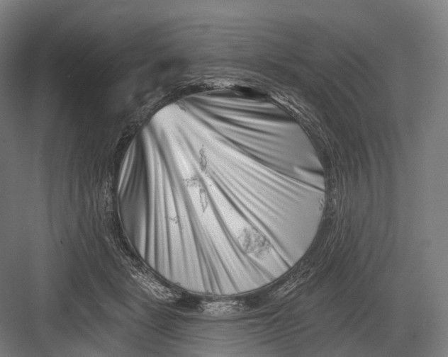 X0000082710461200702161820