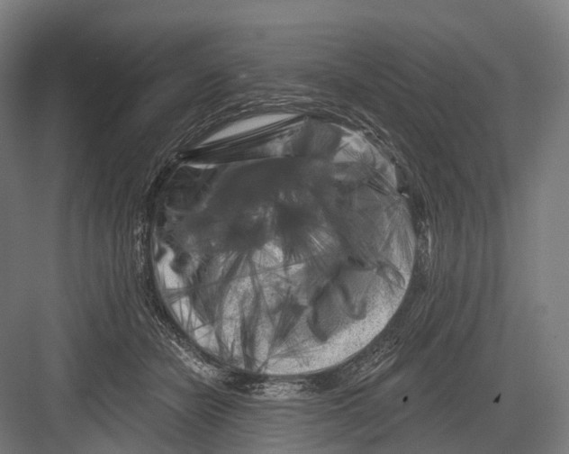 X0000082710462200702161820