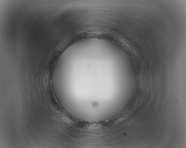 X0000082710463200702161820