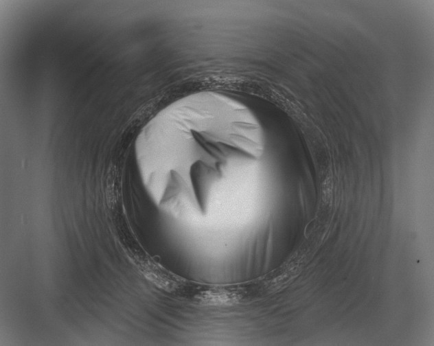 X0000082710464200702161820