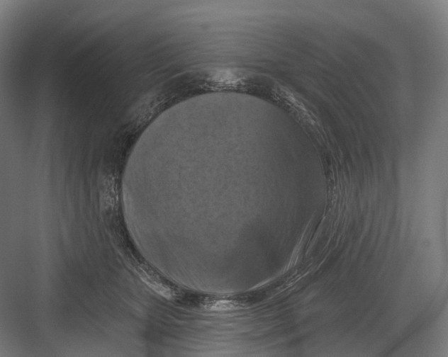 X0000082710467200702161820