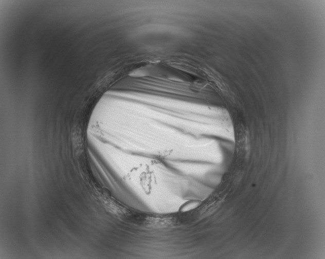 X0000082710469200702161820