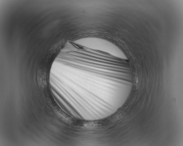 X0000082710470200702161820