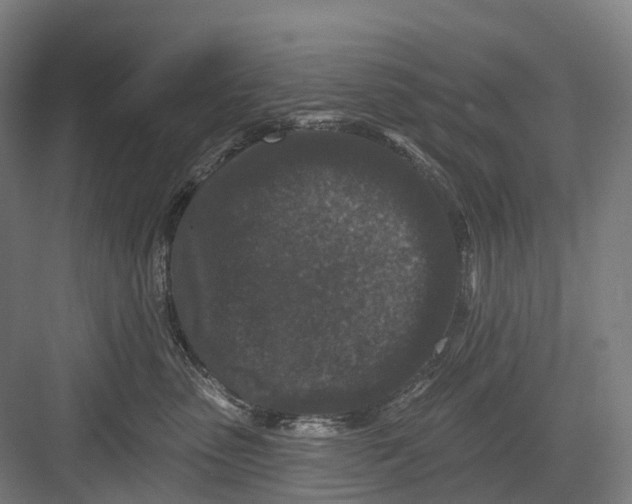 X0000082710475200702161820