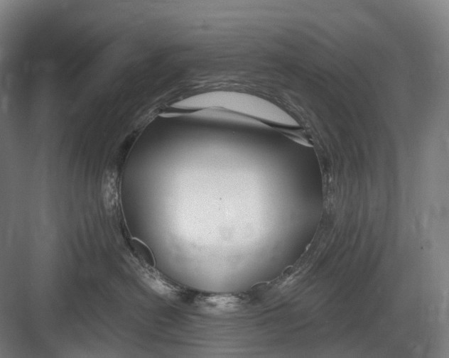 X0000082710478200702161820