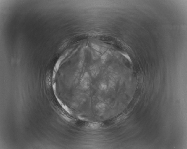 X0000082710479200702161820