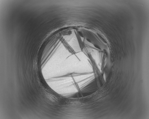 X0000082710483200702161819