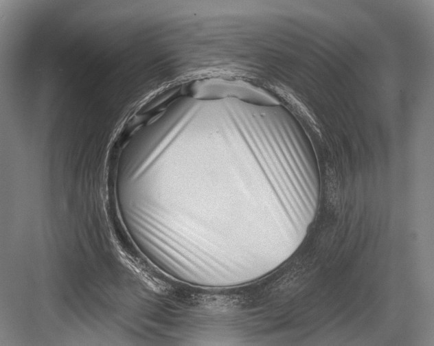 X0000082710486200702161819