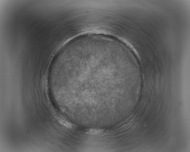 X0000082710487200702161819