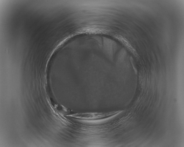 X0000082710488200702161819