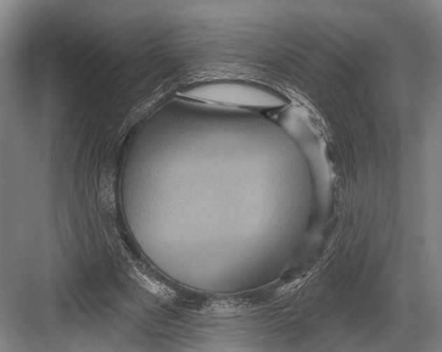 X0000082710489200702161819