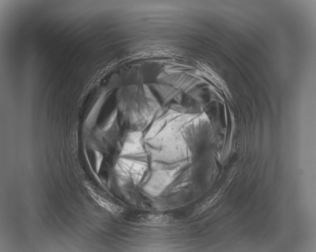 X0000082710493200702161819