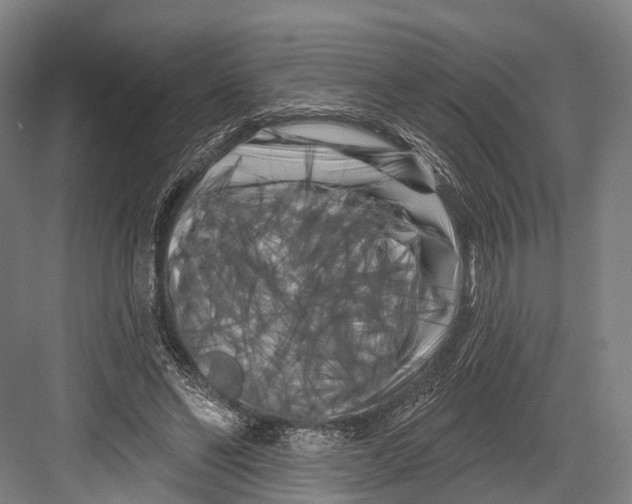 X0000082710494200702161819