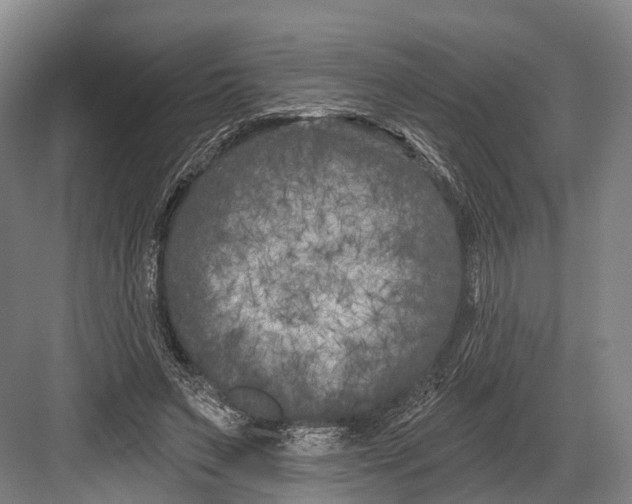 X0000082710495200702161819