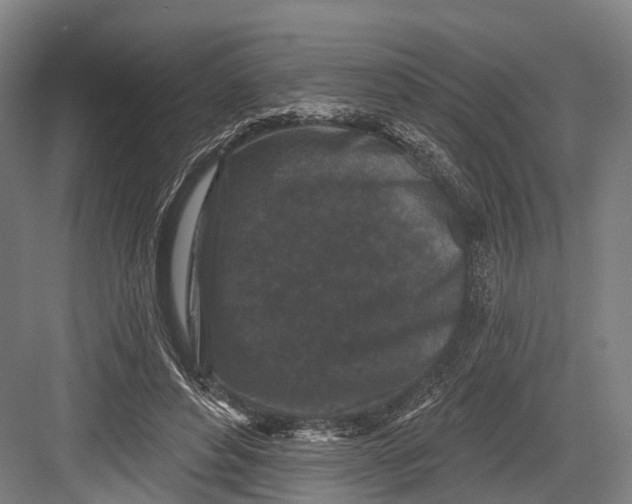 X0000082710496200702161819