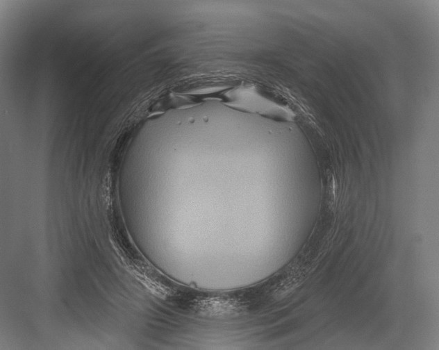 X0000082710498200702161819