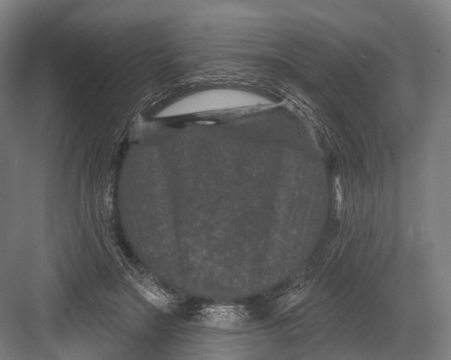 X0000082710499200702161819