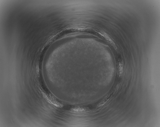 X0000082710500200702161819