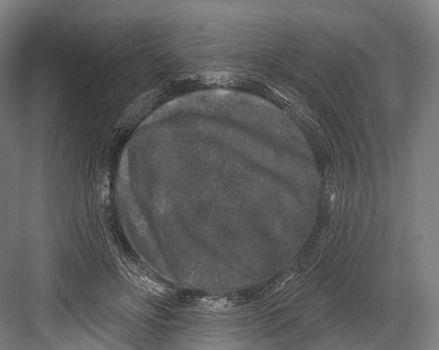 X0000082710502200702161819