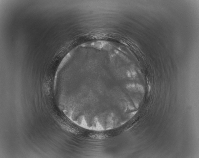 X0000082710503200702161819