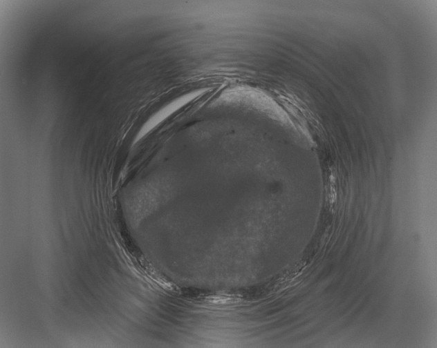 X0000082710504200702161819