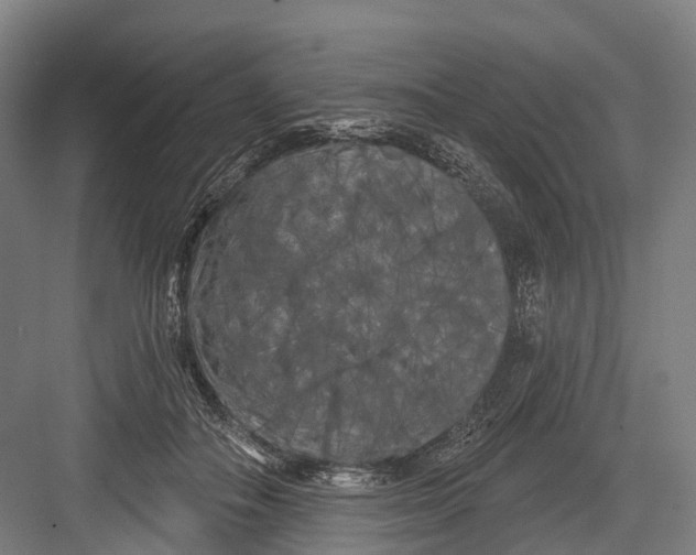 X0000082710506200702161819