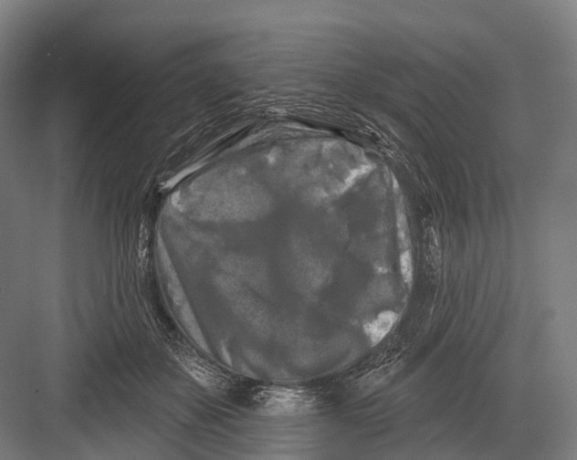 X0000082710507200702161819