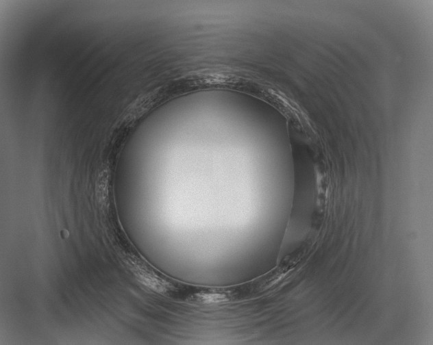 X0000082710509200702161819